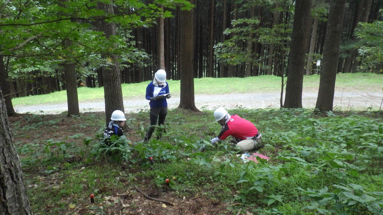 秩父演習林で下層植生を調査する学生たち