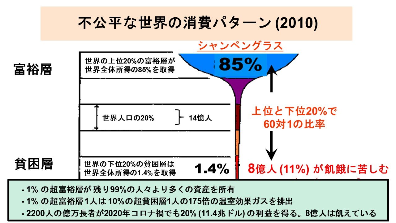 図1：不平等な世界消費（ムナシンゲ教授提供）