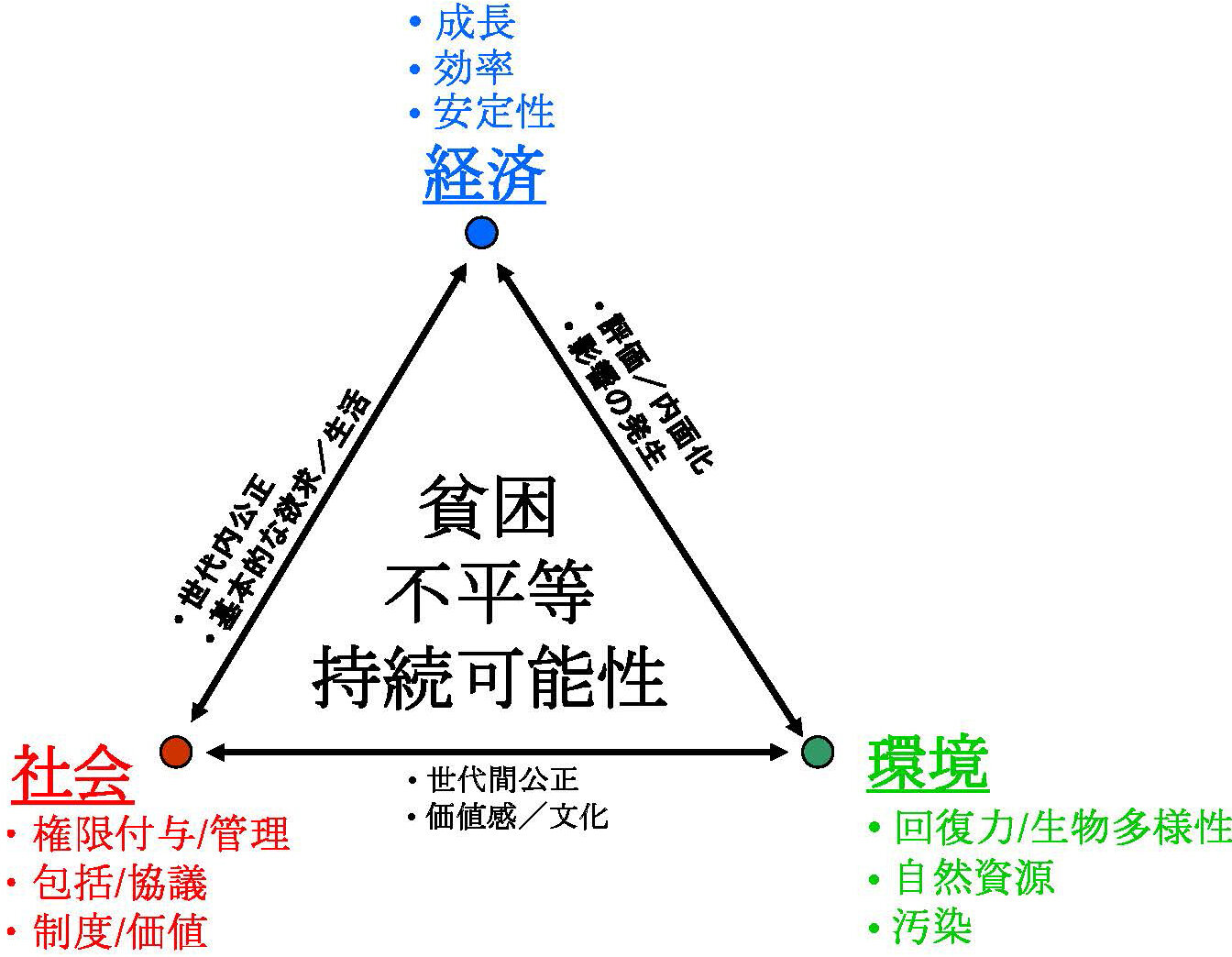 図2：持続可能な開発のトライアングル（ムナシンゲ教授提供）