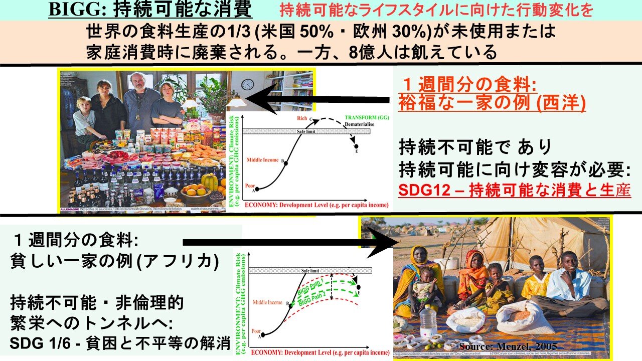 図4:裕福な西洋の家族と貧しいアフリカの家族の事例（ムナシンゲ教授提供）