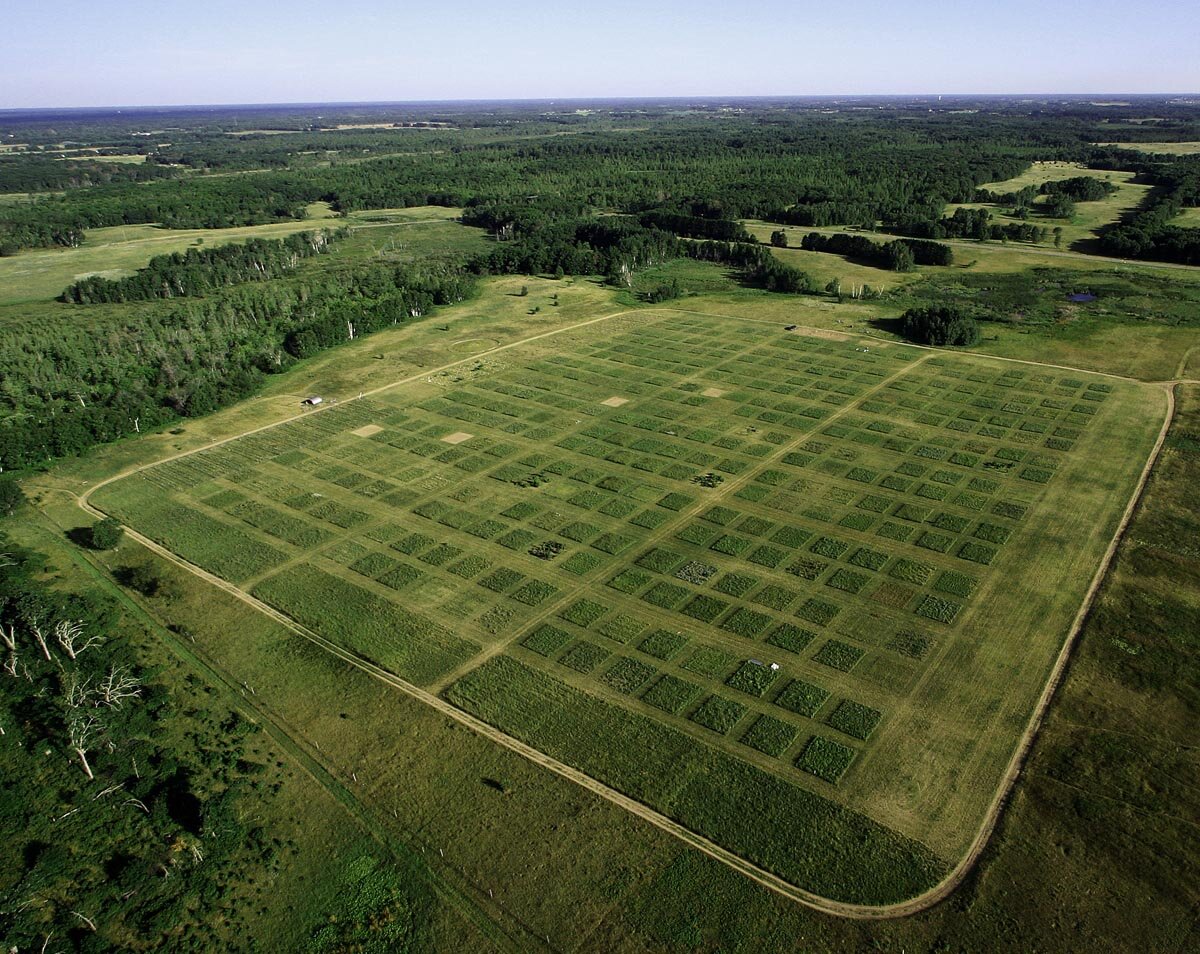  生物多様性研究のためのティルマン教授の大規模実験農場