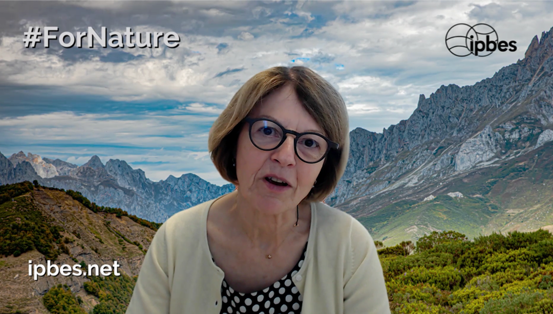 Dr. Anne Larigauderie