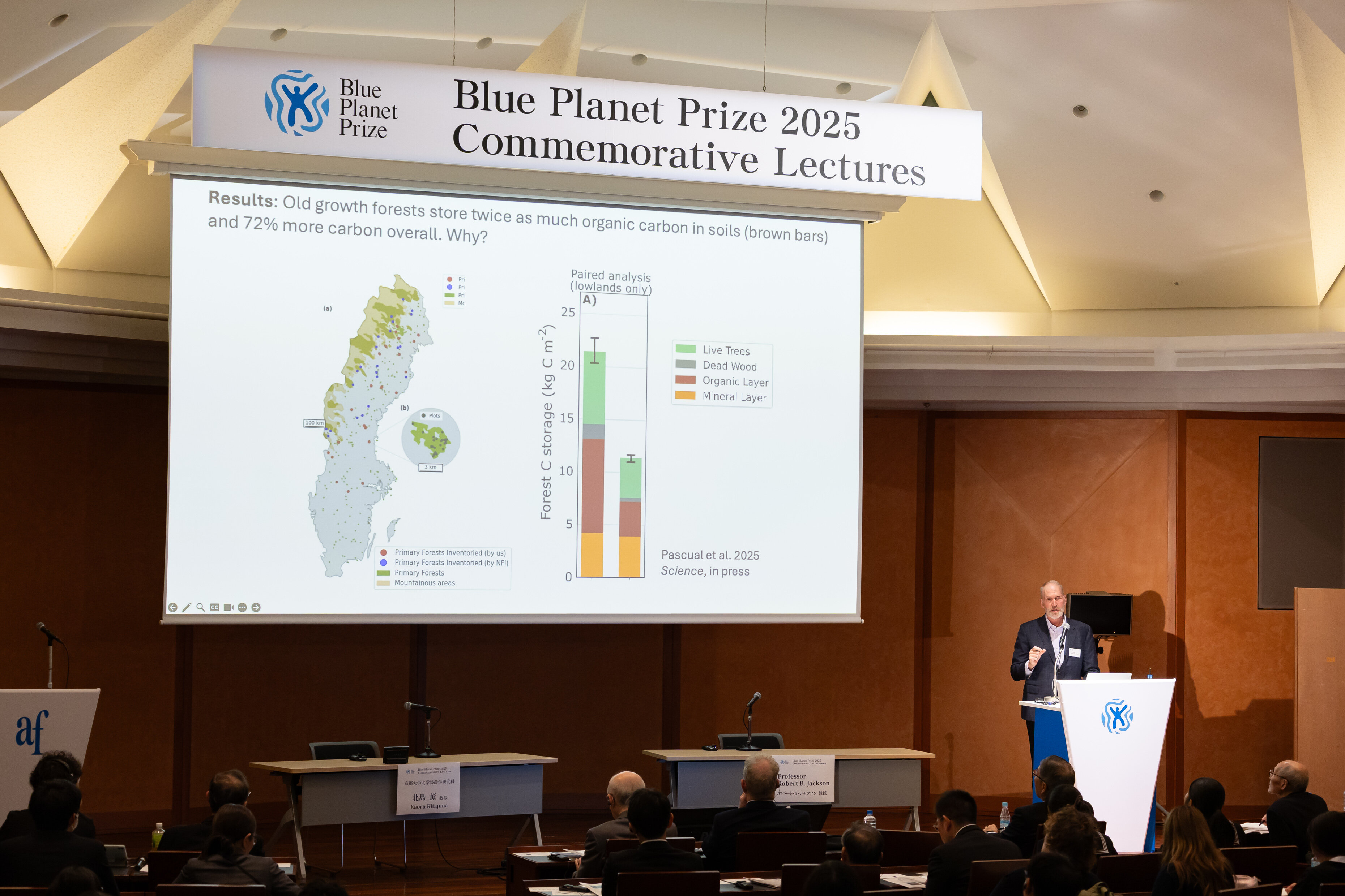 ジャクソン教授