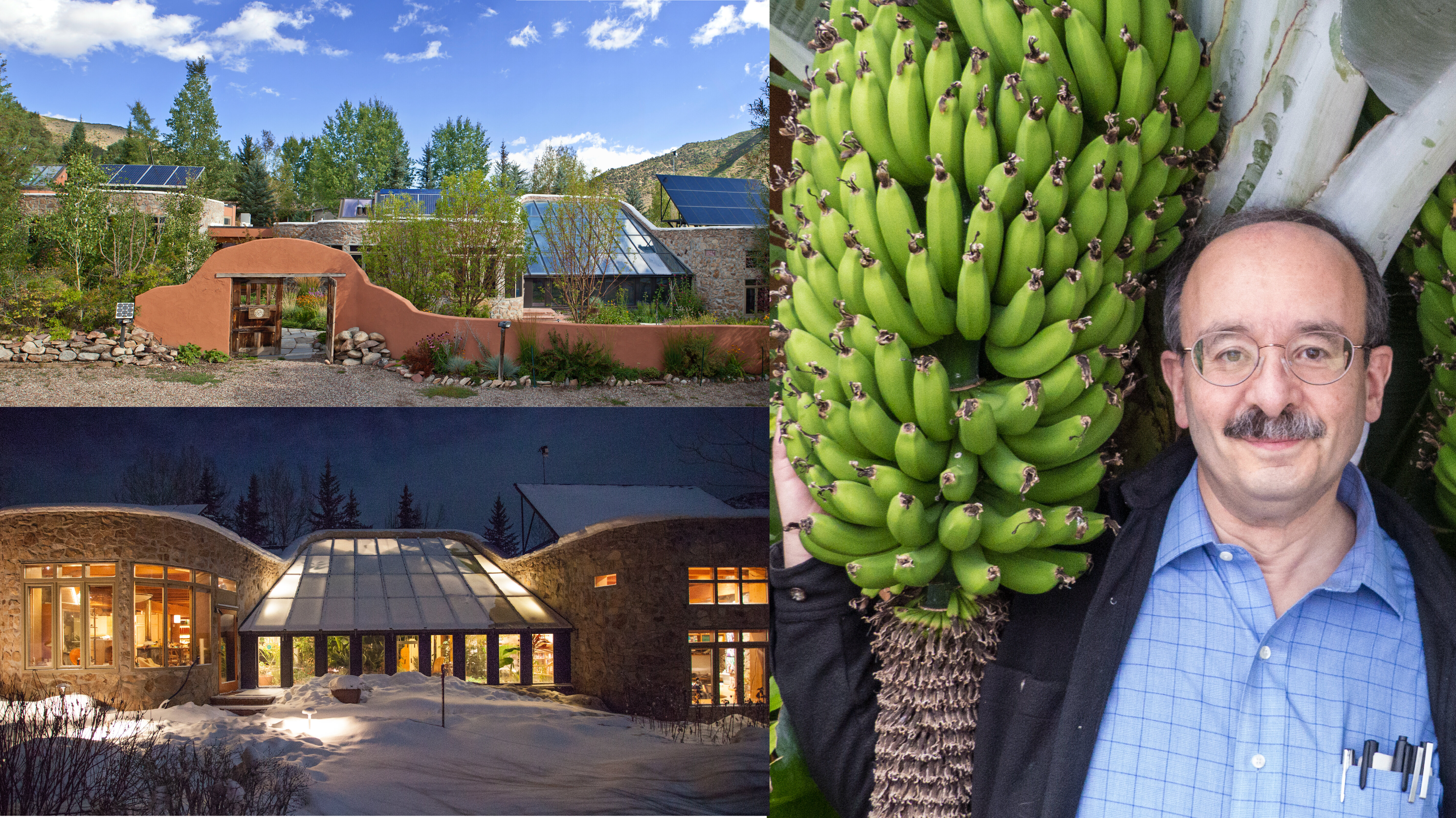 The Lovinses' house exterior and interior with banana crop