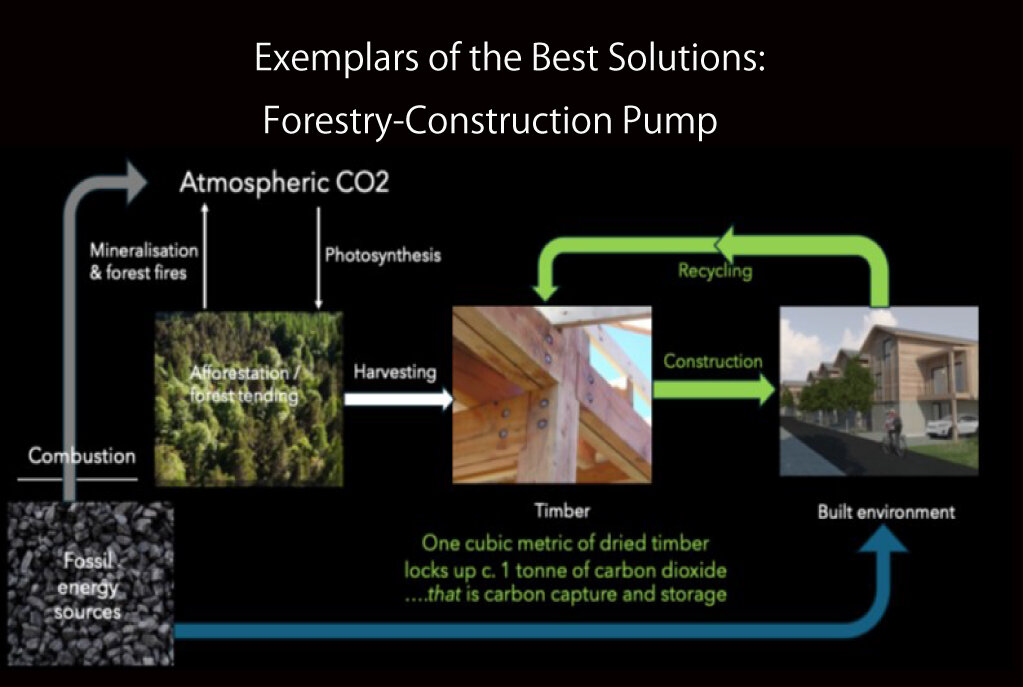 Forestry-Construction Pump