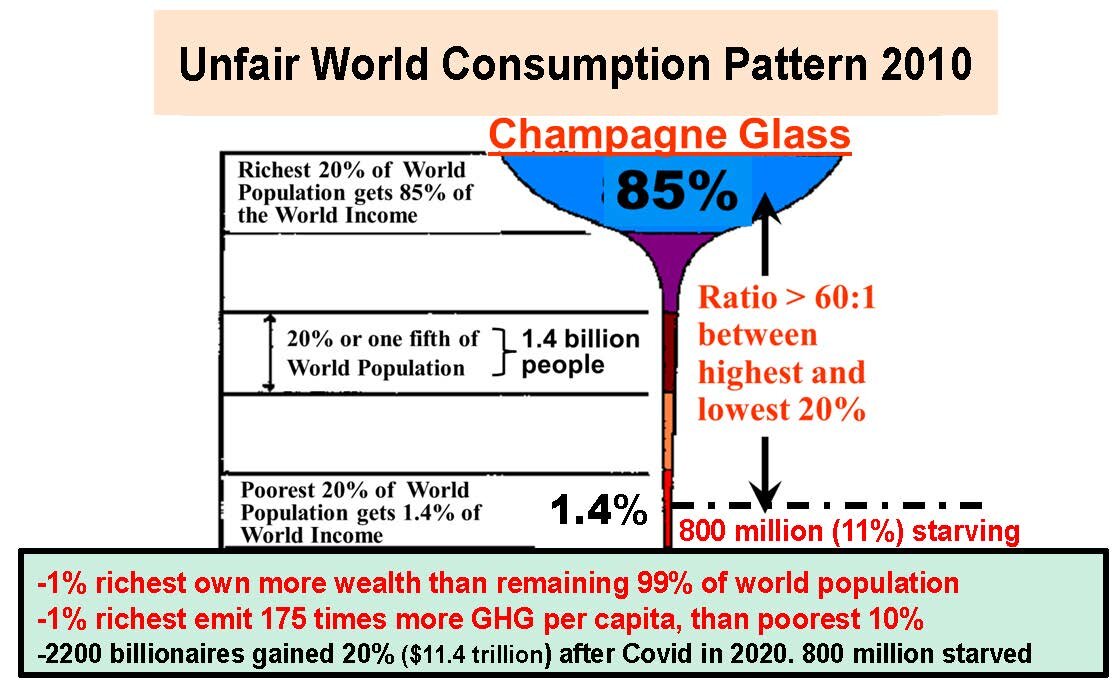 Figure 1: Unequal world consumption pattern (Provided by Prof. Munasinghe) 
