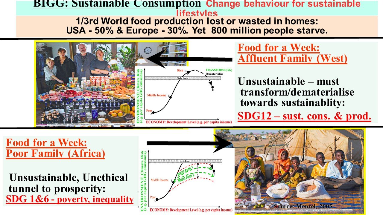 Figure 4: Affluent Western Family and Poor African Family (Provided by Prof. Munasinghe)