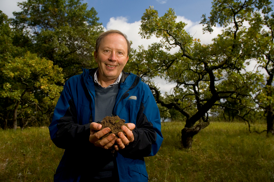 Professor David Tilman