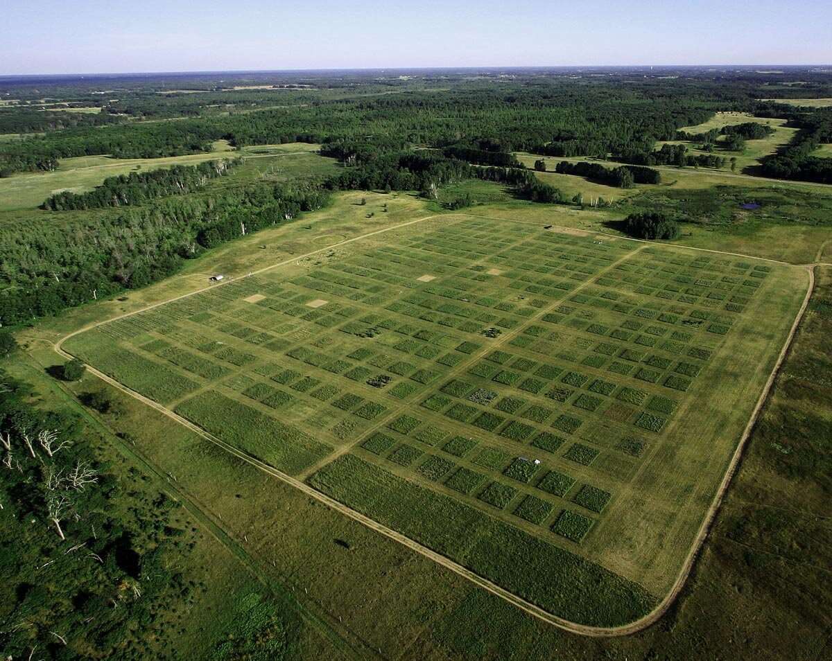 One of 20 major experiments in Cedar Creek Ecosystem Science Reserve,