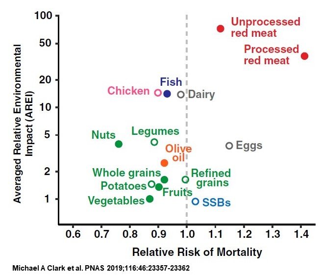 The graph shows the association between a food group's impact on mortality
